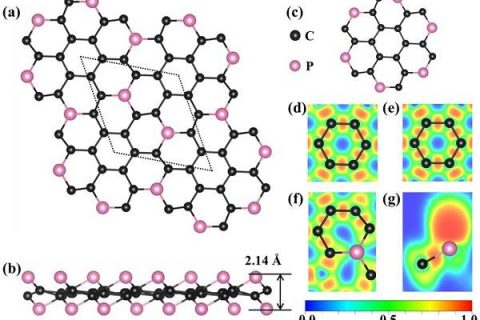 东北师大刘益春&杨国春j. am. chem. soc. : 具有直接带隙和各向异性载流子迁移率的二维pc6材料