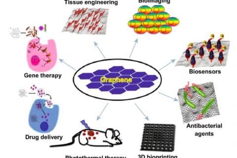 石墨烯在3d打印和生物医学应用中的奇迹和毒性
