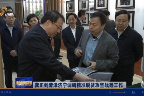 省长龚正到利特纳米调研