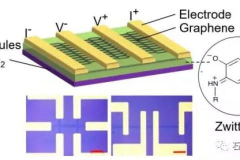 法国斯特拉斯堡大学–通过纳米厚度分子层诱导ad hoc静电来调控石墨烯晶体管