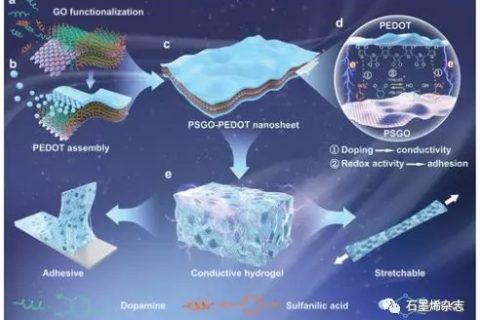 西南交通大学xiong lu课题组–氧化石墨烯导电模板与氧化还原活性纳米片结合成水凝胶用于粘合剂生物电子学